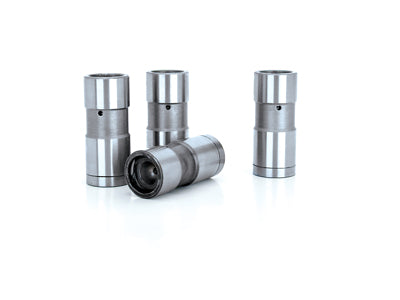 Pro Magnum Hydraulic Flat Lifter Set for 194-292/200-262 V6