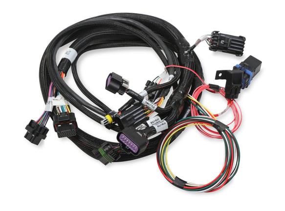 Terminator Stealth 2x4 Main Harness 558-121 HOLLEY Autoparts