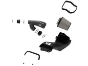 aFe 17-20 Ford F-150/Raptor Track Series Carbon Fiber Cold Air Intake System With Pro DRY S Filters aFe Cold Air Intakes