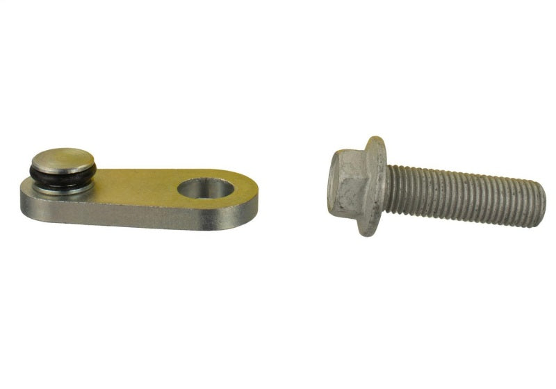 Ford Racing Mustang 2.0L/2.3L EcoBoost Balance Shaft Block-Off Plug Ford Racing Engine Hardware