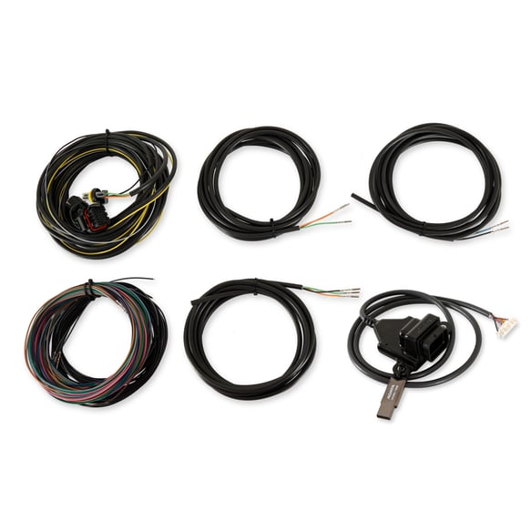 Digital Dash I/O Adapter w/Terminated Vehicle Harness 558-434 HOLLEY Autoparts