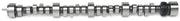 Edelbrock SBC LT1 Roller Cam Edelbrock Camshafts