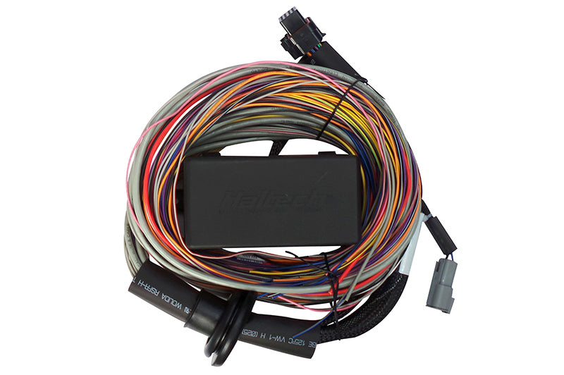 Haltech Elite 750 Premium Universal Wire-In Harness - 2.5m (8ft) Haltech Wiring Harnesses