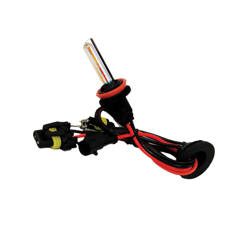 Oracle H11 Xenon HID Bulb - 6000K ORACLE Lighting Bulbs
