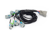 Haltech NEXUS Rebel LS EV6 Injector Sub-Harness Haltech Wiring Harnesses