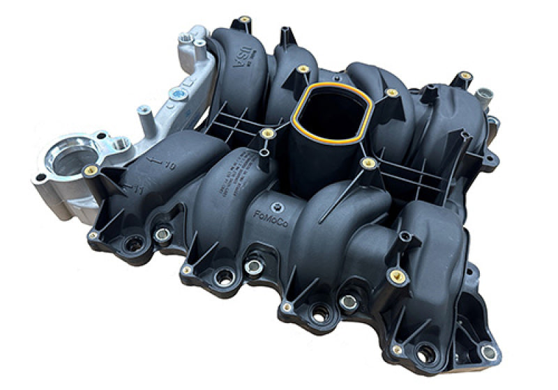 Ford Racing 01-04 Mustang GT 4.6L SOHC 2V Perf Improvement Intake Manifold (Req Manifold Gasket Set) Ford Racing Intake Manifolds