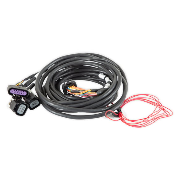 Dominator EFI GM Dual Drive-By-Wire Harness 558-411 HOLLEY Autoparts