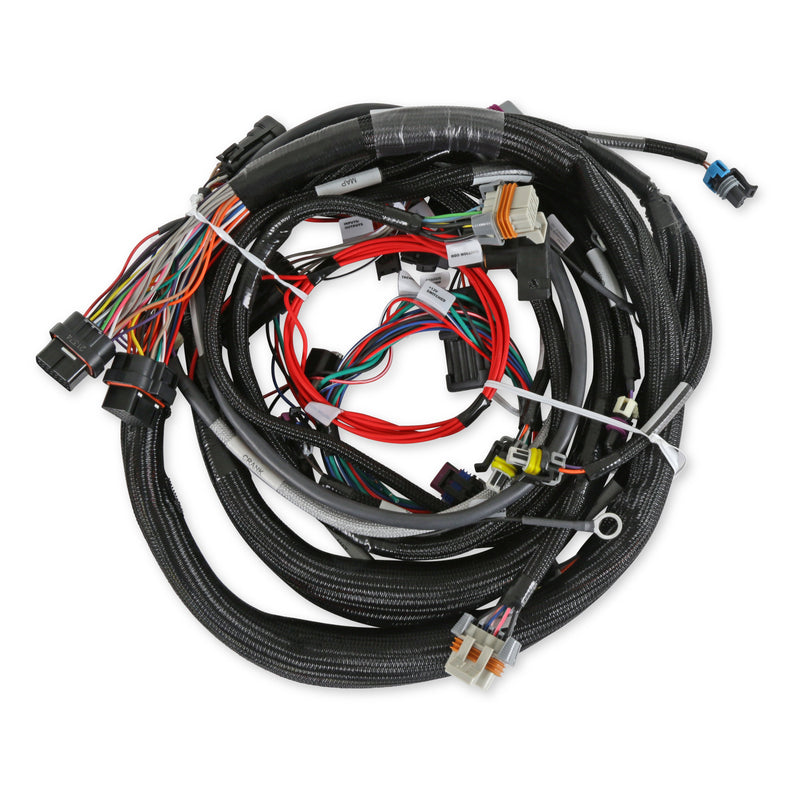 LS1/6 (24x/1x) Engine Main Harness, Extended Length Holley EFI Autoparts