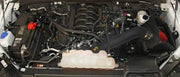 Spectre 15-19 Ford F150 V8-5.0L F/I Air Intake Kit Spectre Cold Air Intakes