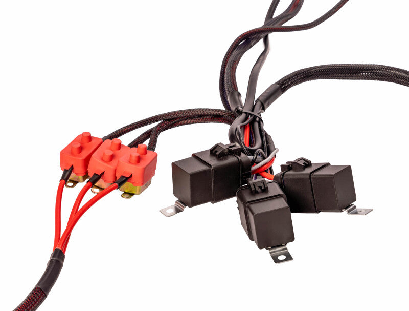 Aeromotive Wiring Harness Kit - Triple Fuel Pump Aeromotive Wiring Harnesses
