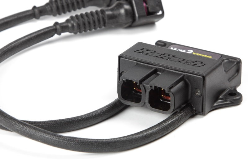 Haltech WB2 Dual Channel CAN O2 Wideband Controller Kit Haltech Gauge Components