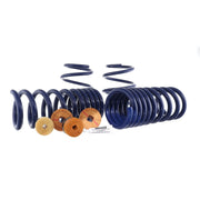 Ford Racing 15-23 Mustang GT/2.3L EcoBoost Fastback Track Lowering Spring Kit (Excl MagneRide Susp) Ford Racing Lowering Springs