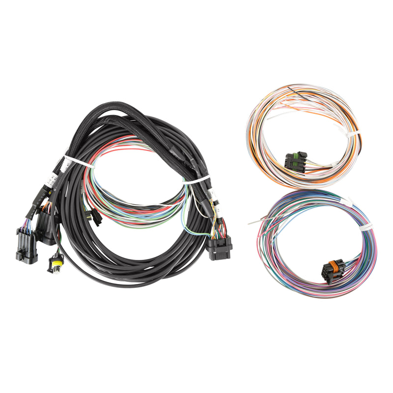 Holley Standalone Pro Dash Service Harness Holley EFI Autoparts