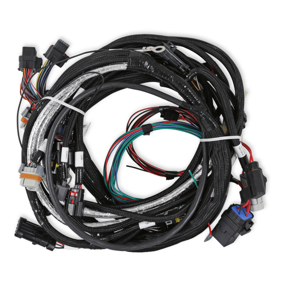 Holley EFI LT4 Engine Main Harness 558-130 HOLLEY Autoparts