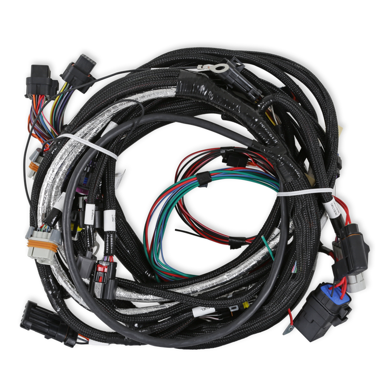 Holley EFI LT4 Engine Main Harness Holley EFI Autoparts