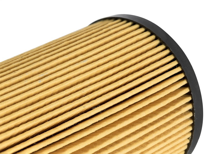aFe ProGuard D2 Fluid Filters Oil F/F OIL Ford Diesel Trucks 03-10 V8-6.4L (TD) aFe Oil Filters