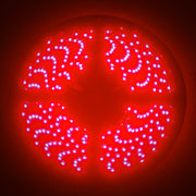 Oracle Side Emitting LED Spool - Red ORACLE Lighting Light Strip LED