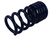 Ford Racing 2015-2017 Mustang GT350 Lowering Springs Ford Racing Lowering Springs