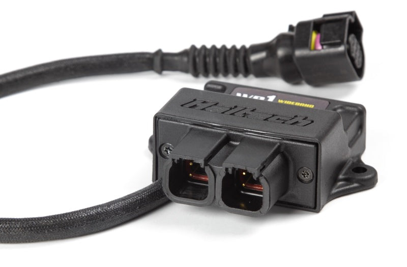 Haltech WB1 Single Channel CAN O2 Wideband Controller Kit Haltech Gauge Components