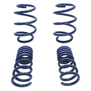 Ford Racing 2015-2017 Mustang GT350 Lowering Springs Ford Racing Lowering Springs