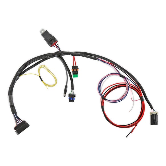 Sniper 2 EFI Main Harness 558-191 HOLLEY Autoparts