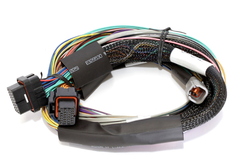 Haltech Elite 2500 Basic Universal Wire-In Harness w/o Relays or Fuses - 2.5m (8ft) Haltech Wiring Harnesses