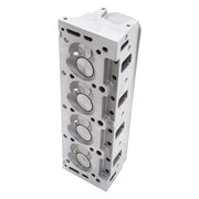 Edelbrock Cylinder Head Holden Vn Performer RPM Hydraulic Flat Tappet Springs Single Complete Edelbrock Heads