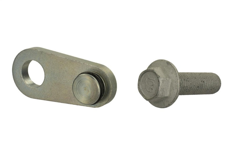 Ford Racing Mustang 2.0L/2.3L EcoBoost Balance Shaft Block-Off Plug Ford Racing Engine Hardware