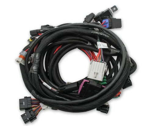 Holley EFI Coyote Ti-VCT Main Harness for Holley EFI HP Smart Coils (2011-2017) 558-122 HOLLEY Autoparts