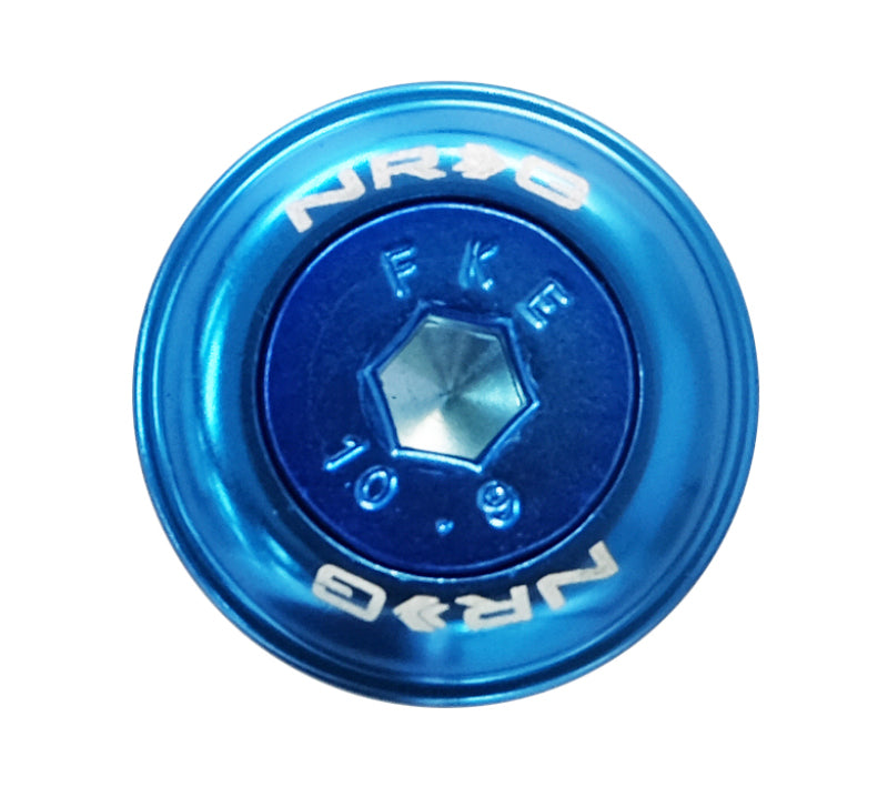 NRG Fender Washer Kit w/Color Matched M6 Bolt Rivets For Plastic (Blue) - Set of 10 NRG Hardware Kits - Other