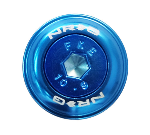 NRG Fender Washer Kit w/Color Matched M6 Bolt Rivets For Plastic (Blue) - Set of 10 NRG Hardware Kits - Other