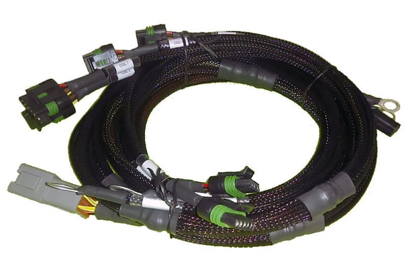 Haltech 8 Channel Individual High Output IGN-1A Inductive Coil Harness Haltech Wiring Harnesses