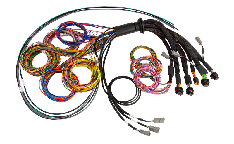 Haltech NEXUS R5 Universal Wire-In Harness - 2.5M (8ft) Haltech Wiring Harnesses