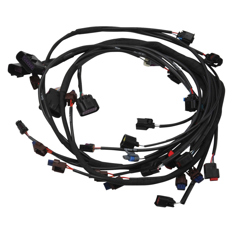 Edelbrock 15-17 Ford Coyote Pro-Flo 4+ EFI Engine Management System Edelbrock Fuel Injection Control Modules