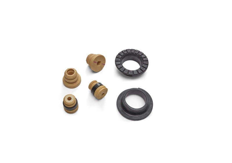 Ford Racing 2024 Mustang 2.3L Track Lowering Spring Kit