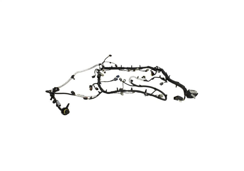 Ford Racing 5.0L Coyote Engine Harness for Automatic Transmission Ford Racing Wiring Harnesses