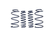 Ford Racing 2013 Cobra Jet Spring Kit Ford Racing Lowering Springs