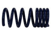 Ford Racing 2015-2017 Mustang GT350 Lowering Springs Ford Racing Lowering Springs