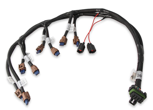 Ford Coyote Ti-VCT Coil Harness (2015.5-2017) Holley EFI Autoparts