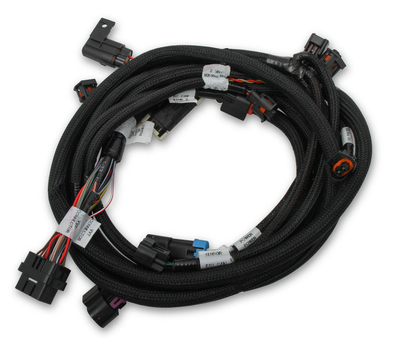 Holley EFI Ford Coyote Ti-VCT Sub Harness (2013-2017) Holley EFI Autoparts