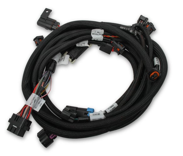 Holley EFI Ford Coyote Ti-VCT Sub Harness (2013-2017) 558-125 HOLLEY Autoparts