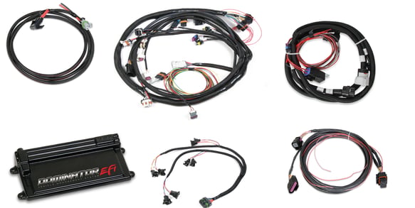 Dominator EFI Kit - LS2 Main Harness w/ Trans and DBW with EV1 Injector Harness 550-660 HOLLEY Autoparts