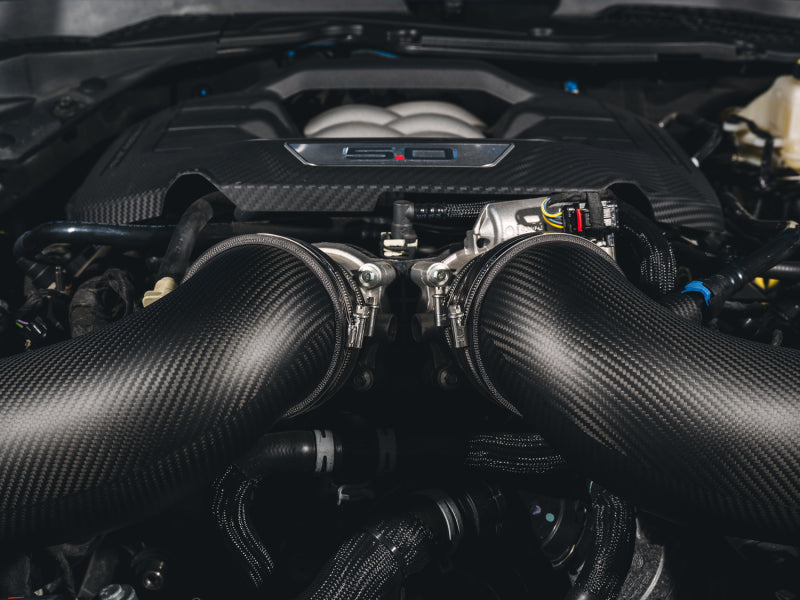AWE Tuning 24-26 Ford S650 Mustang GT/Dark Horse S-FLO Carbon Intake AWE Tuning Cold Air Intakes