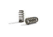 Ford Racing BOSS 302R Valve Spring Kit Ford Racing Valve Springs, Retainers