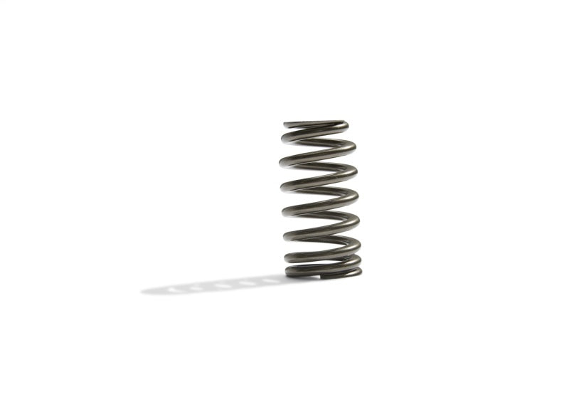 Ford Racing BOSS 302R Valve Spring Kit Ford Racing Valve Springs, Retainers
