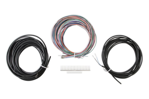 Holley EFI Pro Dash Input/Output Harness 558-456 HOLLEY Autoparts