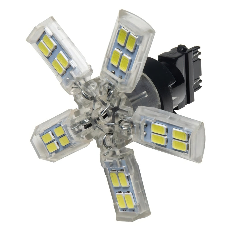 Oracle 3157 15 SMD 3 Chip Spider Bulb (Single) - Cool White ORACLE Lighting Bulbs