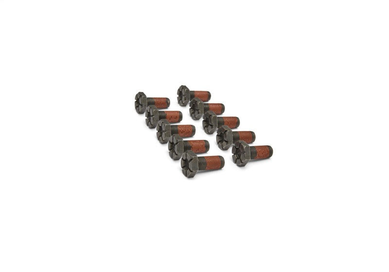 Ford Racing 9in Ring Gear to Open Differential Case Bolts Ford Racing Hardware Kits - Other