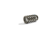 Ford Racing BOSS 302R Valve Spring Kit Ford Racing Valve Springs, Retainers