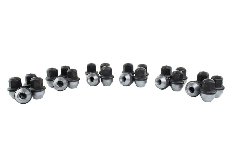 Ford Racing M14 x 1.5 Black Lug Nut - Set of 24 Ford Racing Lug Nuts